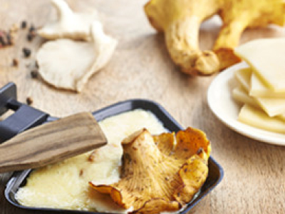 Raclette forestière