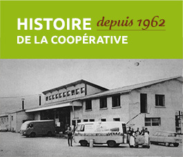 L'histoire de la coopérative