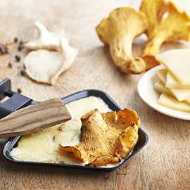 Raclette forestière
